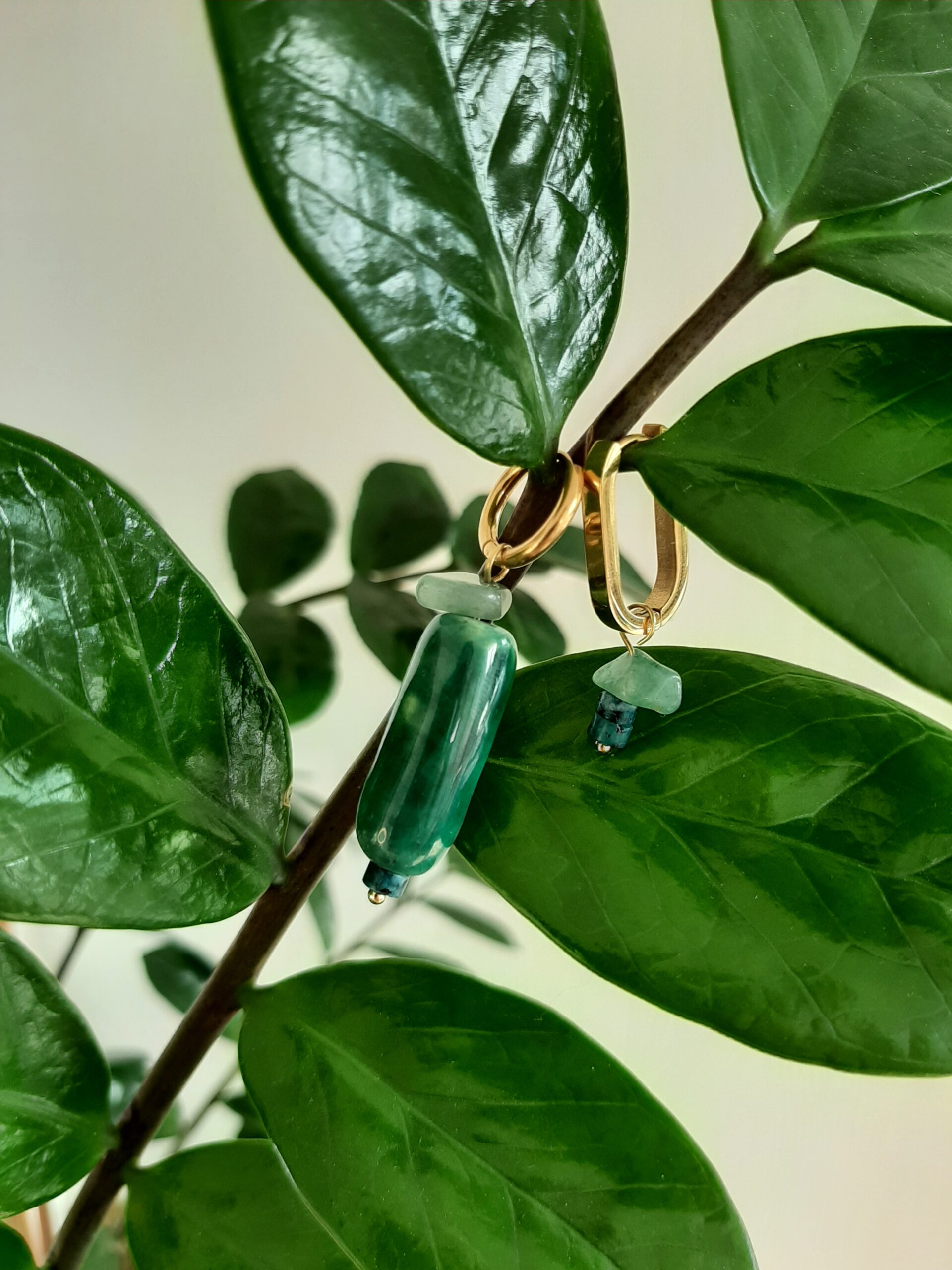 Céra Vert – Image 2